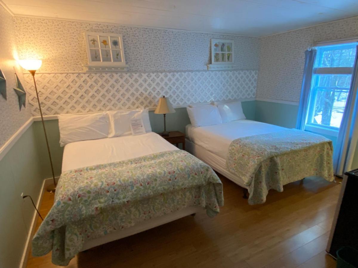 Bromley View Inn Bondville Ngoại thất bức ảnh